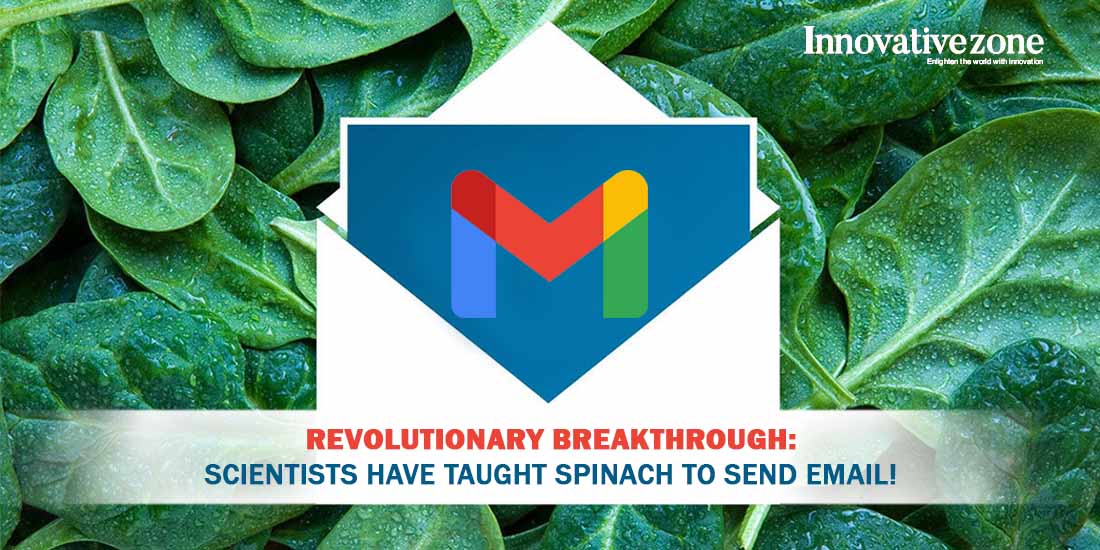 Revolutionary Breakthrough: Scientists have Taught Spinach to Send Email!