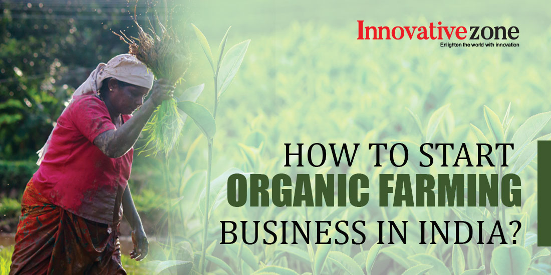 How To Start Organic Farming Business in India?