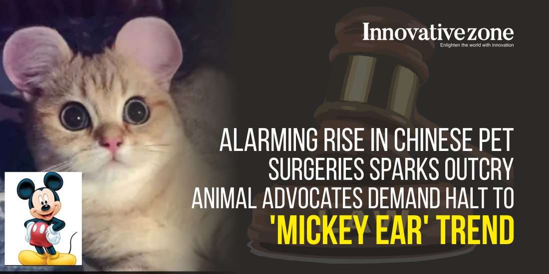Alarming Rise in Chinese Pet Surgeries Sparks Outcry: Animal Advocates Demand Halt To 'Mickey Ear' Trend