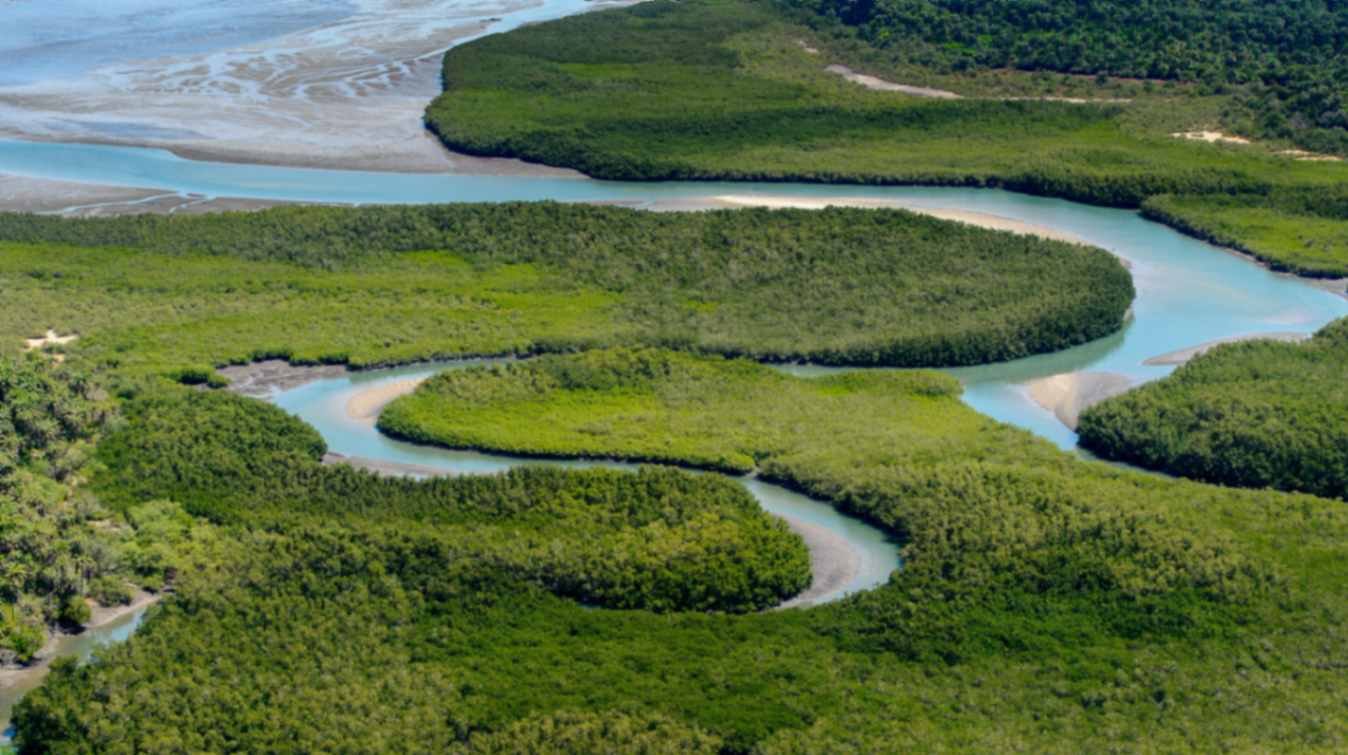 Guinea Bissau