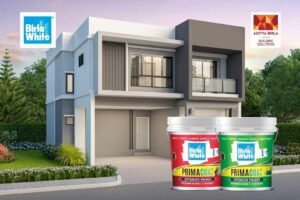 A Primer for Modern Homes
