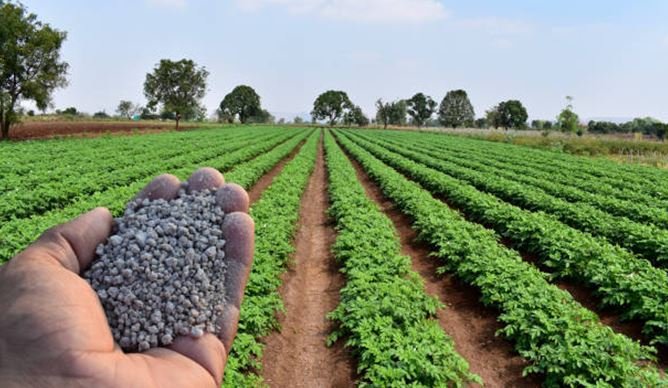 The Importance of Region-Specific Fertilizer The Importance of Region-Specific Fertilizer